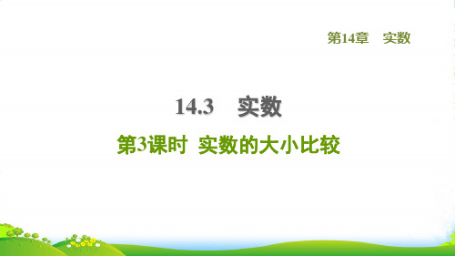 (河北专版)2022秋八年级数学上册 第14章 实数14.3 实数 3 实数的大小比较课件冀教版