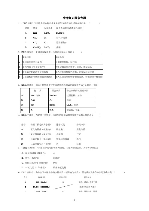 初中化学、中考除杂专题练习(含答案)