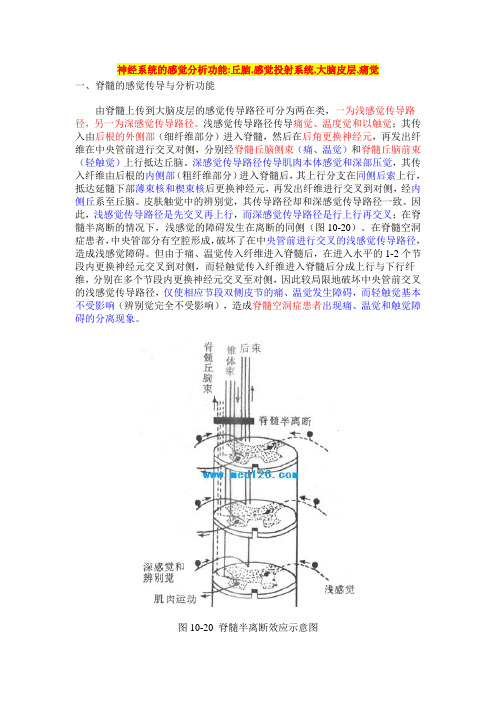 神经系统的感觉分析功能和痛觉生理