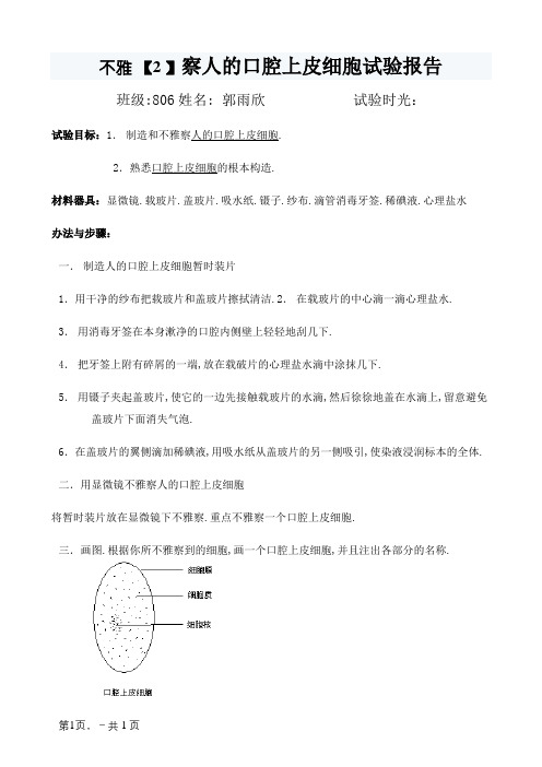 观察人的口腔上皮细胞实验报告