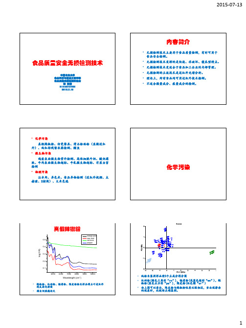 食品质量安全无损检测技术