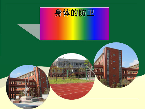 九年级下科学《身体的防卫》PPT课件浙教版