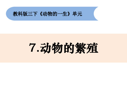 三年级下册科学课件 27《动物的繁殖》 教科版