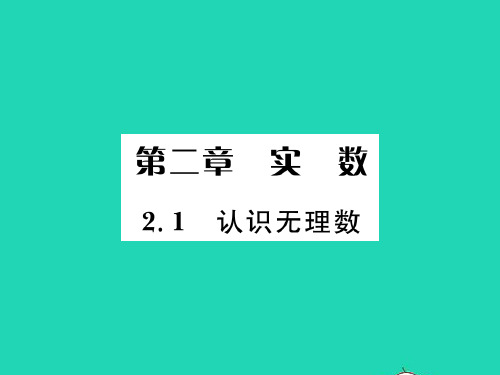 2022八年级数学上册 第二章 实数2.1 认识无理数习题课件 (新版)北师大版