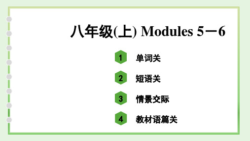 中考英语外研版教材单词语境分册练习八年级(上) Modules 5-6