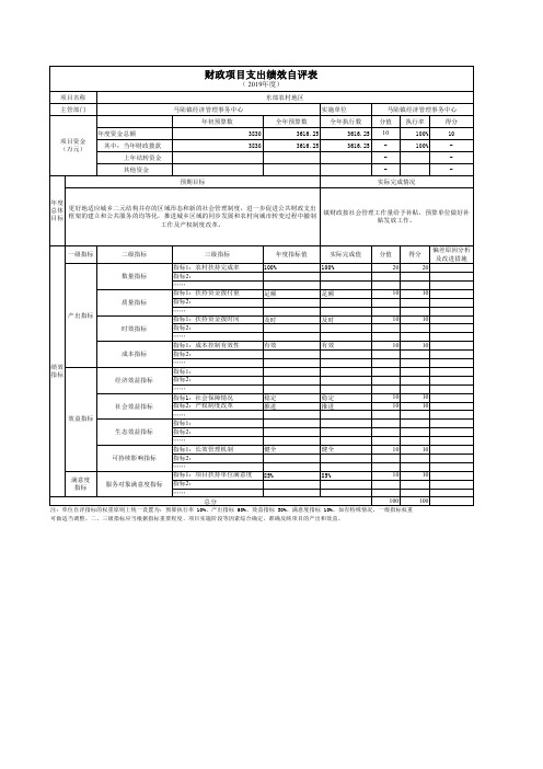 财政项目支出绩效自评表