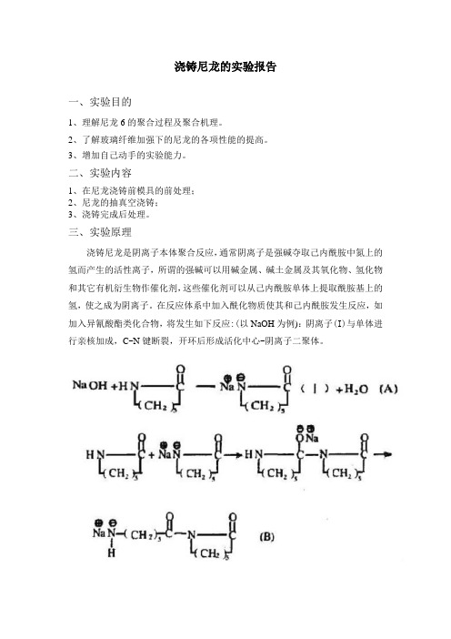 浇铸尼龙的实验报告