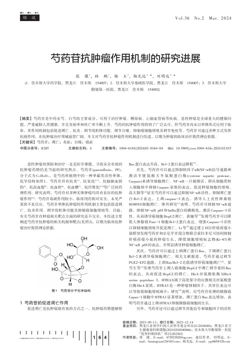 芍药苷抗肿瘤作用机制的研究进展