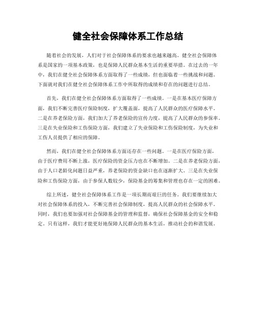 健全社会保障体系工作总结