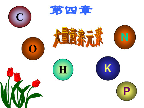 中国农业大学_864植物营养学_《植物营养学(上)》陆景陵 第四章 大量营养元素