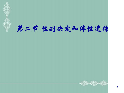 性别决定与伴性遗传公开课ppt课件