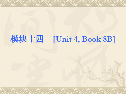 2013届中考英语书本知识点回顾冲刺 (外研版)33