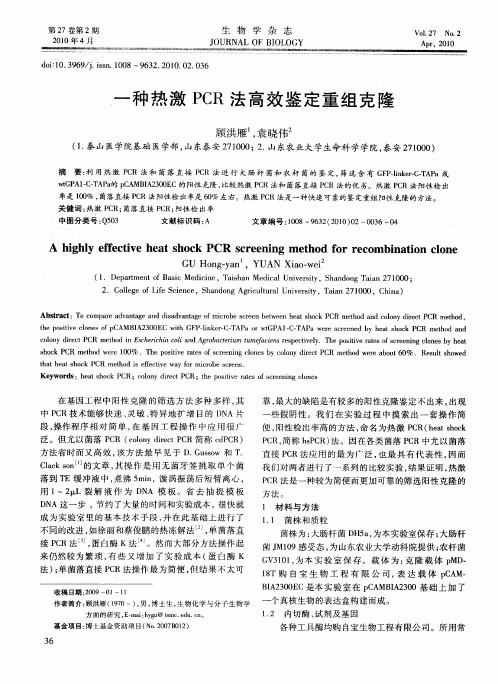 一种热激PCR法高效鉴定重组克隆