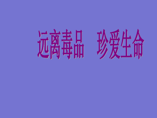 珍爱生命,远离毒品 主题班会 课件