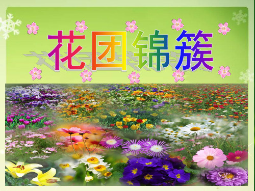 《花团锦簇》课件