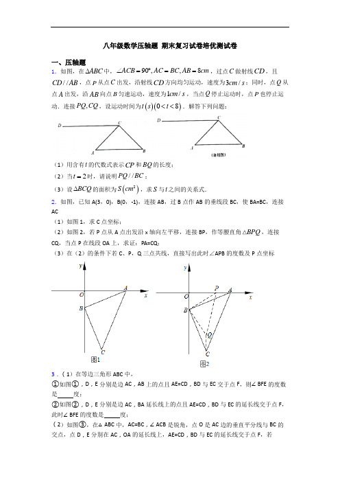 八年级数学压轴题 期末复习试卷培优测试卷