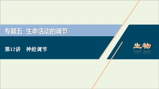 (浙江选考)2020版高考生物二轮复习第12讲神经调节课件