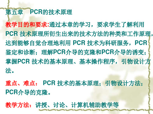 5 PCR的技术原理PPT资料51页