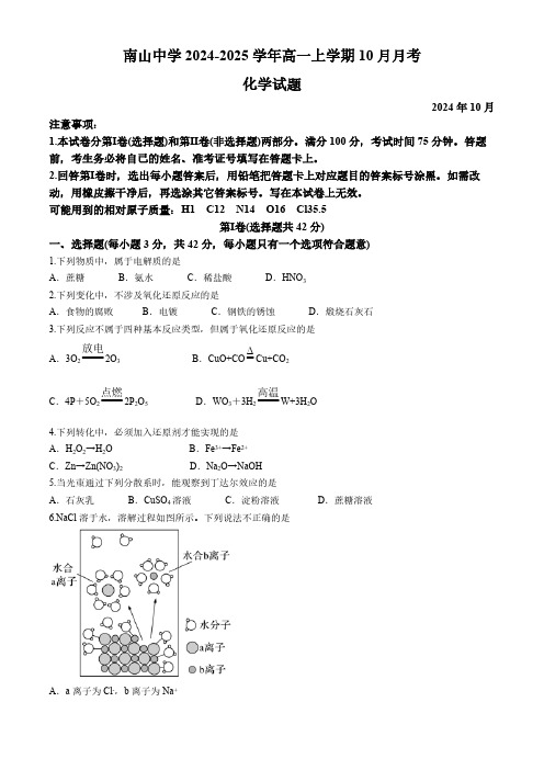 四川省绵阳南山中学2024-2025学年高一上学期10月月考化学试题(含答案)