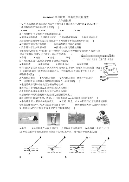 2012-2013学年度第一学期教学质量自查八年级物理(标准版)