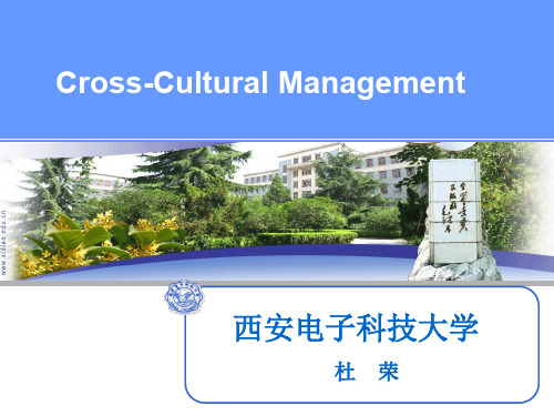 番茄花园-Cross-CulturalManagement