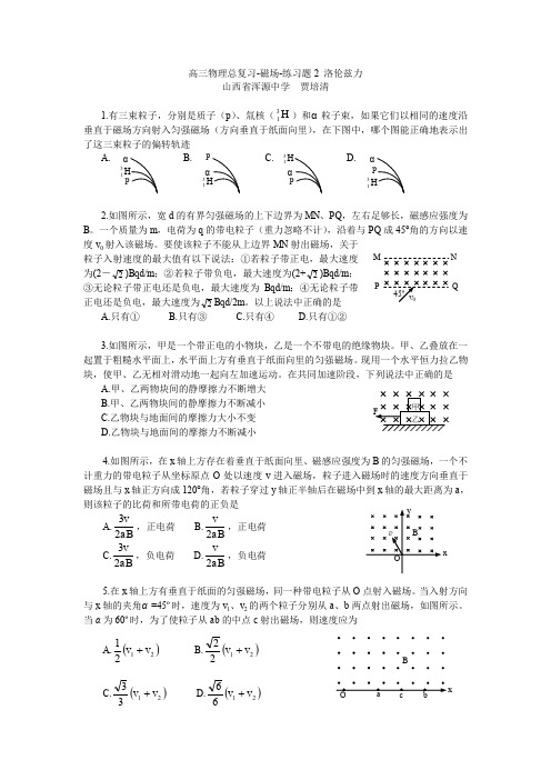 高三物理总复习-磁场-练习题2 洛伦兹力