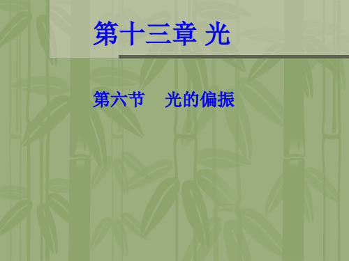 光的偏振【公开课教学PPT课件】高中物理