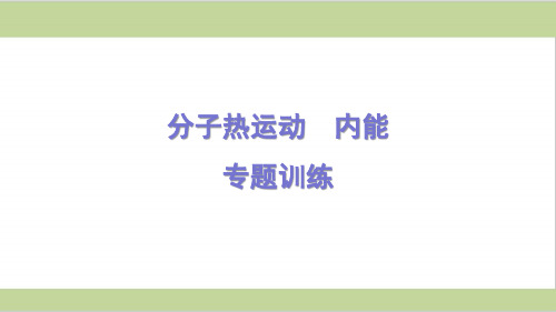 北师大版九年级上册初中物理 分子热运动 内能 专题训练课件