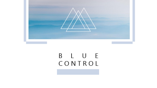 唯一欧美顶级设计师PPT模板-BLUECONTROL