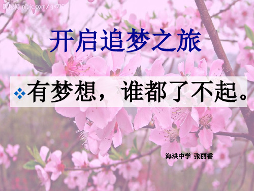 我的小桃树 ppt