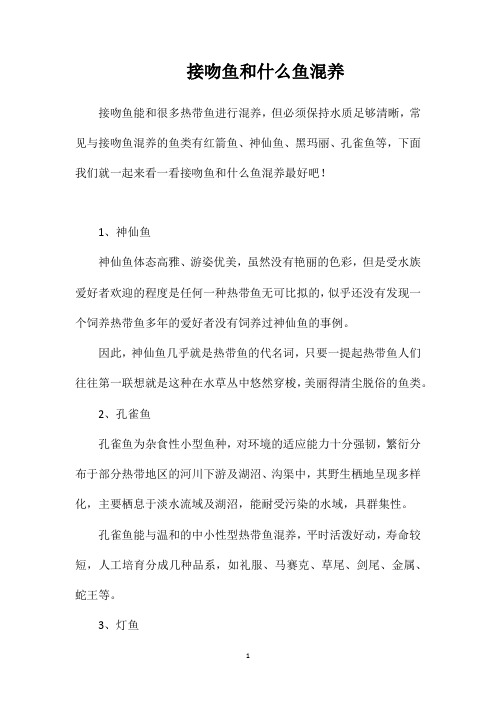 接吻鱼和什么鱼混养