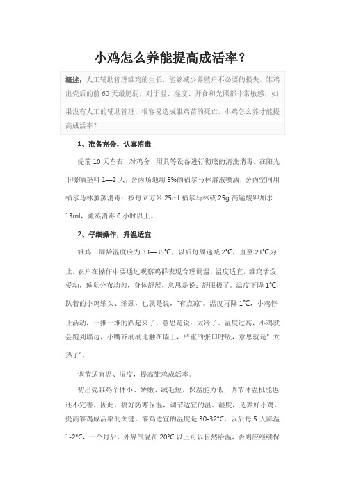 小鸡怎么养能提高成活率