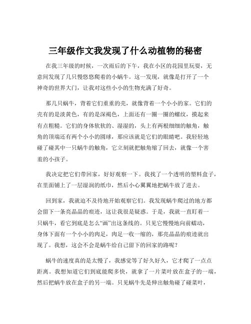 三年级作文我发现了什么动植物的秘密