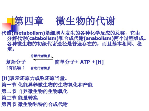 食品微生物学-第四章 微生物的代谢