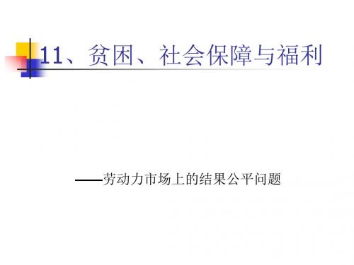 贫困、社会保障与福利讲义课件(ppt48张)