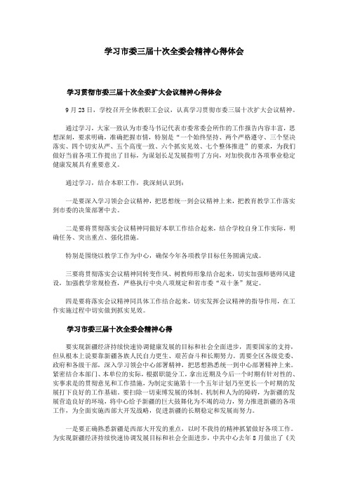 学习市委三届十次全委会精神心得体会