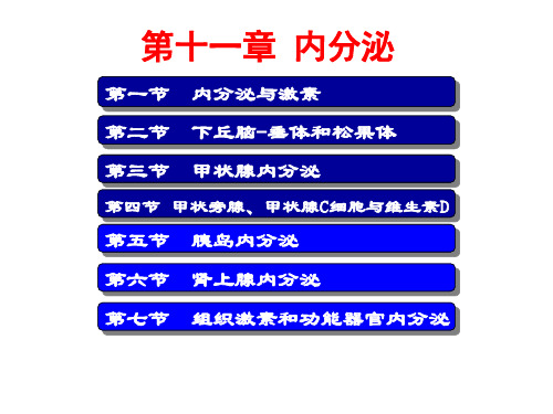 生理学内分泌ppt演示课件