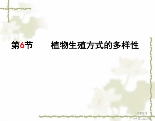 科学七年级下浙教版3.6植物生殖方式的多样性课件.