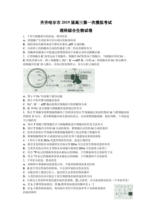 黑龙江省齐齐哈尔市2019届高三第一次模拟考试(3月) 理科综合生物(word版含答案)