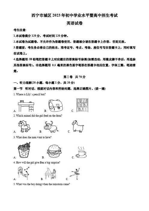 精品解析：2023年青海省西宁市城区中考英语真题(原卷版)