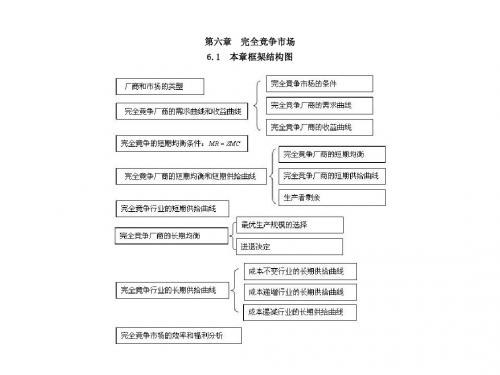 微观经济学第六章  完全竞争市场