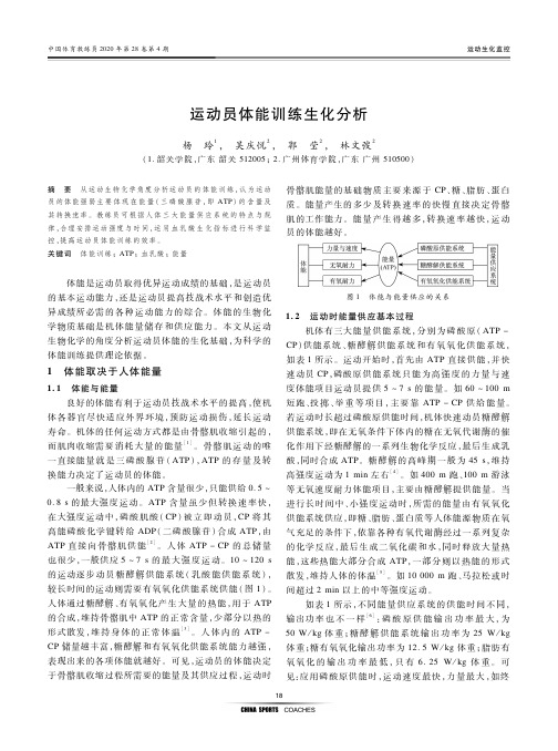 运动员体能训练生化分析