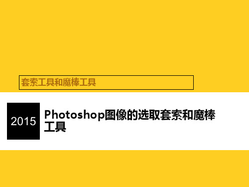 Photoshop图像的选取套索和魔棒工具 ppt课件