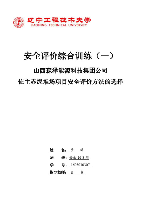 安全评价方法的选择