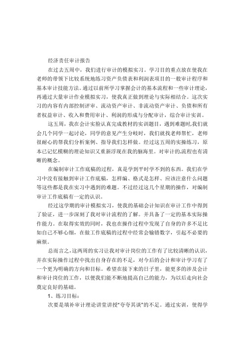 经济责任审计报告.docx