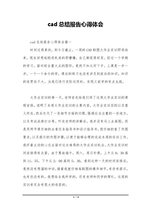 cad总结报告心得体会