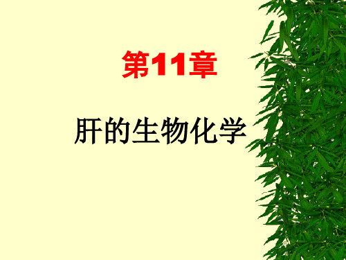 专科生物化学肝的生物化学ppt课件