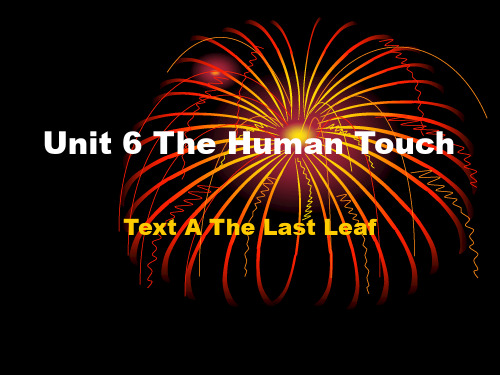 Unit 6 The Human Touch解析