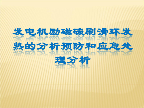 发电机励磁碳刷滑环发热的分析