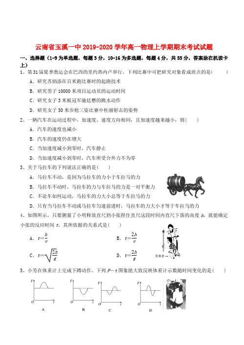 云南省玉溪一中2019_2020高一物理上学期期末考试试题